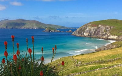 Dingle Peninsula Tour